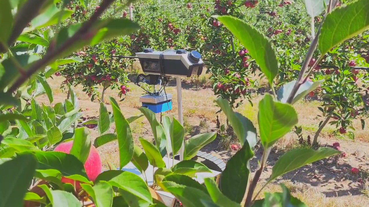 Solution preview image